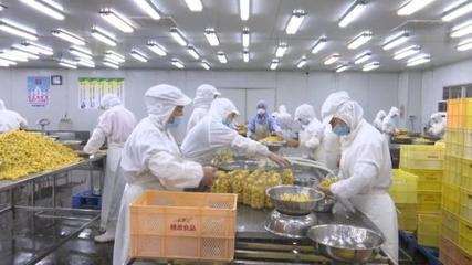 黄山桃源罐头食品产销两旺 产业发展势头强劲