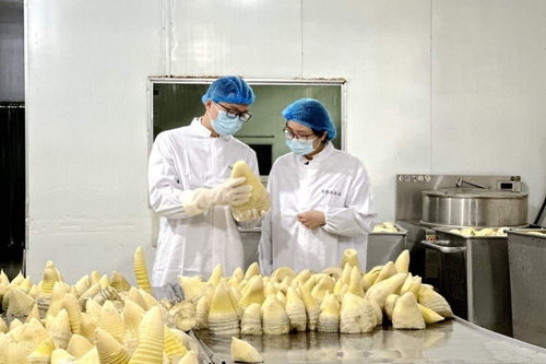 抢鲜出海 畲乡笋罐头走俏西班牙，传统食品打开国际新销路